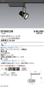 EFS6013B�@���N�X�|�b�g���C�g�@���@F240�@�t���b�V��N�@�L�p�@ENDO �����Ɩ� �G���h�E �y3980�~�ȏ�(�ō�)�ő��������z