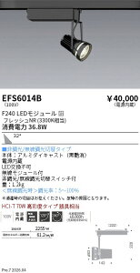 EFS6014B�@���N�X�|�b�g���C�g�@���@F240�@�t���b�V��NR�@�L�p�@ENDO �����Ɩ� �G���h�E �y3980�~�ȏ�(�ō�)�ő��������z