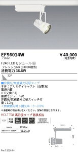 EFS6014W�@���N�X�|�b�g���C�g�@���@F240�@�t���b�V��NR�@�L�p�@ENDO �����Ɩ� �G���h�E �y3980�~�ȏ�(�ō�)�ő��������z