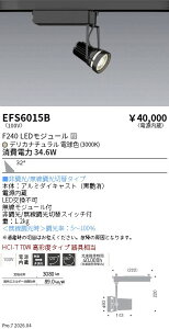 EFS6015B�@���N�X�|�b�g���C�g�@���@F240�@�f���J�@�L�p�@ENDO �����Ɩ� �G���h�E �y3980�~�ȏ�(�ō�)�ő��������z