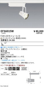 EFS6015W�@���N�X�|�b�g���C�g�@���@F240�@�f���J�@�L�p�@ENDO �����Ɩ� �G���h�E �y3980�~�ȏ�(�ō�)�ő��������z