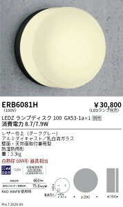 ERB6081H�@�A�E�g�h�A�u���P�b�g �h�J�` Disk100�@ENDO �����Ɩ� �G���h�E �y3980�~�ȏ�(�ō�)�ő��������z