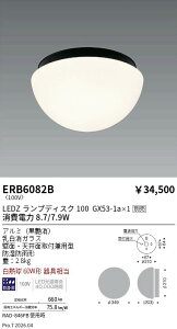 ERB6082B�@�V�[�����O���C�g �u���P�b�g �h�J�` Disk100�@ENDO �����Ɩ� �G���h�E �y3980�~�ȏ�(�ō�)�ő��������z