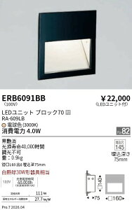 ERB6091BB�@�t�b�g���C�g BLOCK70 3000K �u���b�N�@ENDO �����Ɩ� �G���h�E �y3980�~�ȏ�(�ō�)�ő��������z
