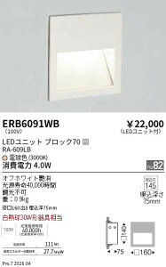 ERB6091WB�@�t�b�g���C�g BLOCK70 3000K �z���C�g�@ENDO �����Ɩ� �G���h�E �y3980�~�ȏ�(�ō�)�ő��������z