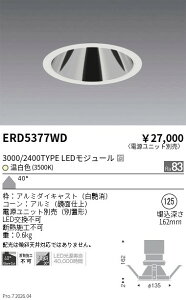 ERD5377WD�@�O���A���X�_�E��_3000 2400�^�C�v_3500K�@ENDO �����Ɩ� �G���h�E �y3980�~�ȏ�(�ō�)�ő��������z