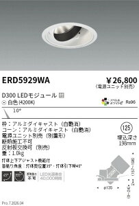 ERD5929WA�@DUAL�@���j�o�[�T��DL�@D300�@4200K�@���p�@ENDO �����Ɩ� �G���h�E �y3980�~�ȏ�(�ō�)�ő��������z