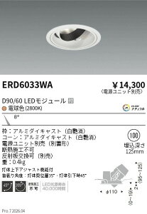 ERD6033WA�@DUAL�@���j�o�[�T��DL�@D90 D60�@2800K�@���p�@ENDO �����Ɩ� �G���h�E �y3980�~�ȏ�(�ō�)�ő��������z