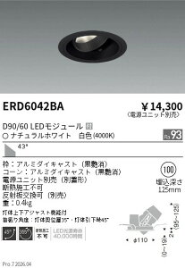 ERD6042BA�@DUAL�@���j�o�[�T��DL�@D90 D60�@4000K�@���L�@ENDO �����Ɩ� �G���h�E �y3980�~�ȏ�(�ō�)�ő��������z