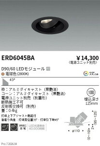ERD6045BA�@DUAL�@���j�o�[�T��DL�@D90 D60�@2800K�@���L�@ENDO �����Ɩ� �G���h�E �y3980�~�ȏ�(�ō�)�ő��������z