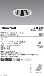 ERD7609WB�@COB�������F�O���A���X���j�o�[�T��DL 900�^�C�v�@ENDO �����Ɩ� �G���h�E �y3980�~�ȏ�(�ō�)�ő��������z