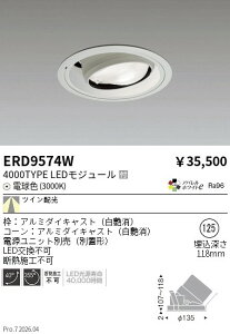 ERD9574W�@���j�o�[�T��DL�@4000�^�C�v�@Ra96�@3000K�@TW�@ENDO �����Ɩ� �G���h�E �y3980�~�ȏ�(�ō�)�ő��������z