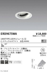 ERD9675WA�@COB���j�o�[�T��DL�@1400�^�C�v�@4000K�@WW�@ENDO �����Ɩ� �G���h�E �y3980�~�ȏ�(�ō�)�ő��������z