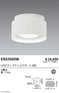 ERG5080W�@�V�[�����O���C�g Disk75�@ENDO �����Ɩ� �G���h�E �y3980�~�ȏ�(�ō�)�ő��������z
