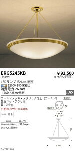ERG5245KB�@�V�[�����O�@ENDO �����Ɩ� �G���h�E �y3980�~�ȏ�(�ō�)�ő��������z