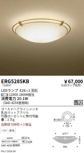 ERG5285KB�@�V�[�����O�@ENDO �����Ɩ� �G���h�E �y3980�~�ȏ�(�ō�)�ő��������z