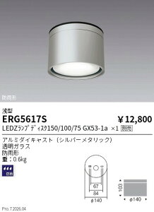 ERG5617S�@�����V�[�����ODL_Disk150 100 75_�V���o�[�@ENDO �����Ɩ� �G���h�E �y3980�~�ȏ�(�ō�)�ő��������z