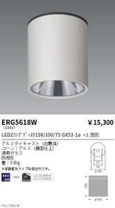 ERG5618W�@�����V�[�����ODL_Disk150 100 75_���@ENDO �����Ɩ� �G���h�E �y3980�~�ȏ�(�ō�)�ő��������z