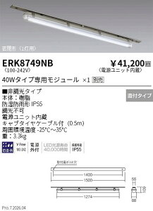 ERK8749NB�@���`�ቷ�q�ɗp�x�[�X���C�g 1���p �|25���N���X�@ENDO �����Ɩ� �G���h�E �y3980�~�ȏ�(�ō�)�ő��������z