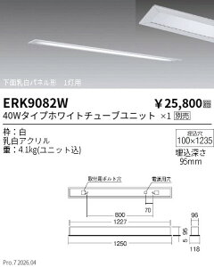 ERK9082W�@8205WA�@�@�x�[�XFL�@�@TUBE40Wx1���@ENDO �����Ɩ� �G���h�E �y3980�~�ȏ�(�ō�)�ő��������z