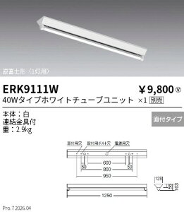 ERK9111W�@�t�x�m�`V1_40W�^�C�vx1�@ENDO �����Ɩ� �G���h�E �y3980�~�ȏ�(�ō�)�ő��������z