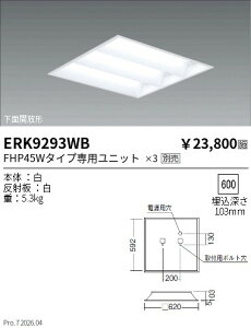 ERK9293WB�@TWIN���j�b�g�K���@�������ʊJ���`55W�^�C�vx3���@10�@ENDO �����Ɩ� �G���h�E �y3980�~�ȏ�(�ō�)�ő��������z