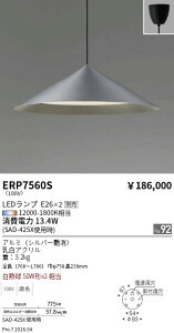 ERP7560S�@�O�p�^�y���_���g���C�g_��700�V���o�[�@ENDO �����Ɩ� �G���h�E �y3980�~�ȏ�(�ō�)�ő��������z