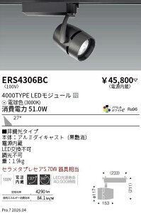ERS4306BC�@COB�X�|�b�g���C�g �� 4000�^�C�v 3000K�@ENDO �����Ɩ� �G���h�E �y3980�~�ȏ�(�ō�)�ő��������z