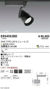 ERS4563BD�@COB�X�|�b�g���C�g_��_3000�^�C�v_3500K�@ENDO �����Ɩ� �G���h�E �y3980�~�ȏ�(�ō�)�ő��������z