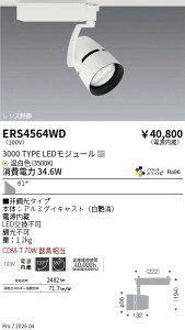 ERS4564WD�@COB�X�|�b�g_3000�^�C�v_�A�p����W3500K_���L�p�@ENDO �����Ɩ� �G���h�E �y3980�~�ȏ�(�ō�)�ő��������z