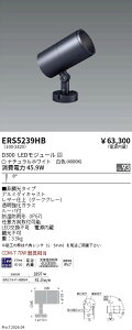 ERS5239HB�@COB���OSP�@D300�@���p�@4000K�@Ra93�@ENDO �����Ɩ� �G���h�E �y3980�~�ȏ�(�ō�)�ő��������z