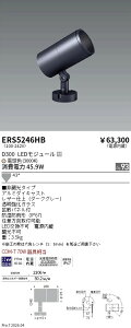 ERS5246HB�@COB���OSP�@D300�@�L�p�@3000K�@Ra93�@ENDO �����Ɩ� �G���h�E �y3980�~�ȏ�(�ō�)�ő��������z