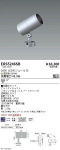 ERS5246SB�@COB���OSP�@D300�@�L�p�@3000K�@Ra93�@ENDO �����Ɩ� �G���h�E �y3980�~�ȏ�(�ō�)�ő��������z