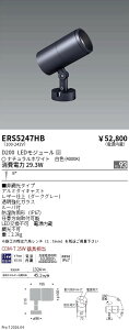 ERS5247HB�@COB���OSP�@D200�@���p�@4000K�@Ra93�@ENDO �����Ɩ� �G���h�E �y3980�~�ȏ�(�ō�)�ő��������z