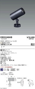 ERS5248HB�@COB���OSP�@D200�@���p�@3000K�@Ra93�@ENDO �����Ɩ� �G���h�E �y3980�~�ȏ�(�ō�)�ő��������z