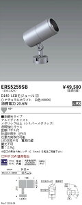 ERS5259SB�@COB���OSP�@D140�@�L�p�@4000K�@Ra93�@ENDO �����Ɩ� �G���h�E �y3980�~�ȏ�(�ō�)�ő��������z