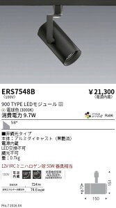 ERS7548B�@�V���v���X�|�b�g_900TYPE_AW3000K_���L�p_���@ENDO �����Ɩ� �G���h�E �y3980�~�ȏ�(�ō�)�ő��������z