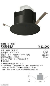 FX501BA�@���p�@�i�������p�j�@ENDO �����Ɩ� �G���h�E �y3980�~�ȏ�(�ō�)�ő��������z