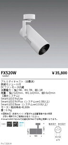 FX520W�@�X�|�b�g���C�g�^�t�[�����[�@�t�����W�^�C�v�@���@ENDO �����Ɩ� �G���h�E �y3980�~�ȏ�(�ō�)�ő��������z