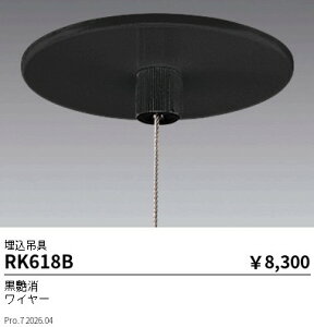 RK618B�@�y���_���g�݋�_�����^�C�v_���@ENDO �����Ɩ� �G���h�E �y3980�~�ȏ�(�ō�)�ő��������z