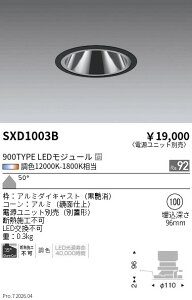 SXD1003B�@Synca_GL�_�E��_900TYPE_���L�p_��_��100�@ENDO �����Ɩ� �G���h�E �y3980�~�ȏ�(�ō�)�ő��������z