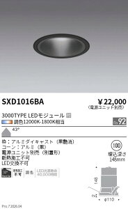 SXD1016BA�@Synca�x�[�XDL_3000�^�C�v_���R�[��_���L�p_���@ENDO �����Ɩ� �G���h�E �y3980�~�ȏ�(�ō�)�ő��������z