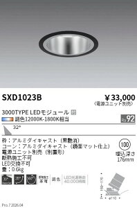 SXD1023B�@Synca_���j�oDL_3000TYPE_���ʍL�p����100�@ENDO �����Ɩ� �G���h�E �y3980�~�ȏ�(�ō�)�ő��������z
