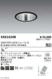 SXD1024B�@Synca_���j�oDL_3000TYPE���ʒ��L�p����100�@ENDO �����Ɩ� �G���h�E �y3980�~�ȏ�(�ō�)�ő��������z