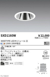 SXD1160W�@Synca�x�[�XDL_3000�^�C�v_EX���L�p_��100�@ENDO �����Ɩ� �G���h�E �y3980�~�ȏ�(�ō�)�ő��������z