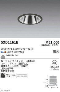 SXD1161B�@Synca�x�[�XDL_2000�^�C�v_EX���L�p_��100�@ENDO �����Ɩ� �G���h�E �y3980�~�ȏ�(�ō�)�ő��������z