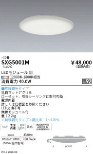 SXG5001M�@Synca_�V�[�����O���C�g_10��@ENDO �����Ɩ� �G���h�E �y3980�~�ȏ�(�ō�)�ő��������z