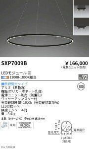 SXP7009B�@Synca�����O�y���_���g��1246�������@ENDO �����Ɩ� �G���h�E �y3980�~�ȏ�(�ō�)�ő��������z