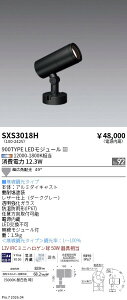 SXS3018H-L�@Synca���OSP_900�^�C�v_���L�p_�_�[�N�O���[_�L���@ENDO �����Ɩ� �G���h�E �y3980�~�ȏ�(�ō�)�ő��������z