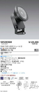 SXS3036H�@Synca���OSP_5500�^�C�v_�g�U_�_�[�N�O���[�@ENDO �����Ɩ� �G���h�E �y3980�~�ȏ�(�ō�)�ő��������z